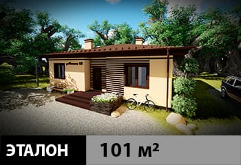 Проект дома 08 — функциональный стиль