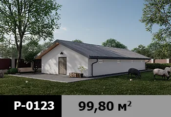 Проект хозпостройки P-0123